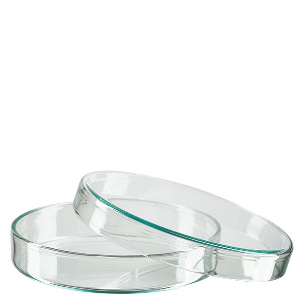 Petrischale 100x20mm Glas Petrischale 100x20mm Glas
