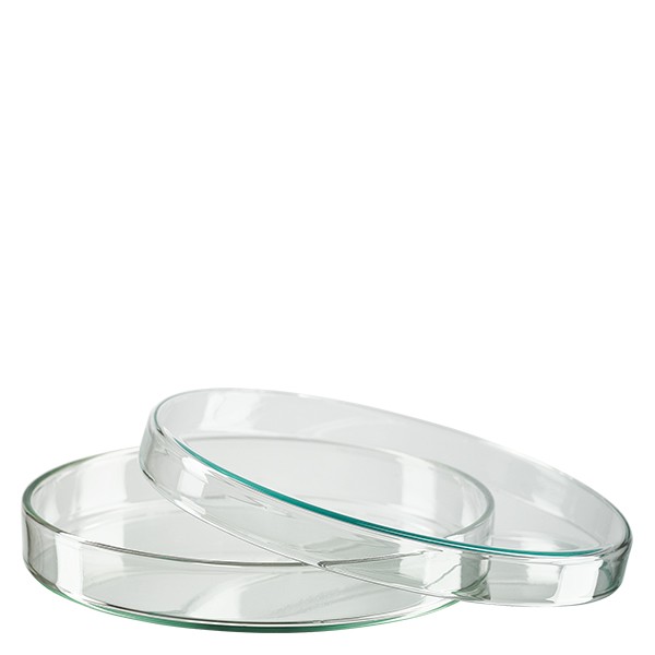 Petrischale 120x20mm Glas